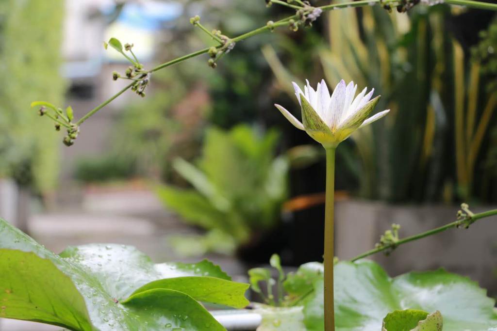 Namnon Place Nonthaburi Exteriör bild